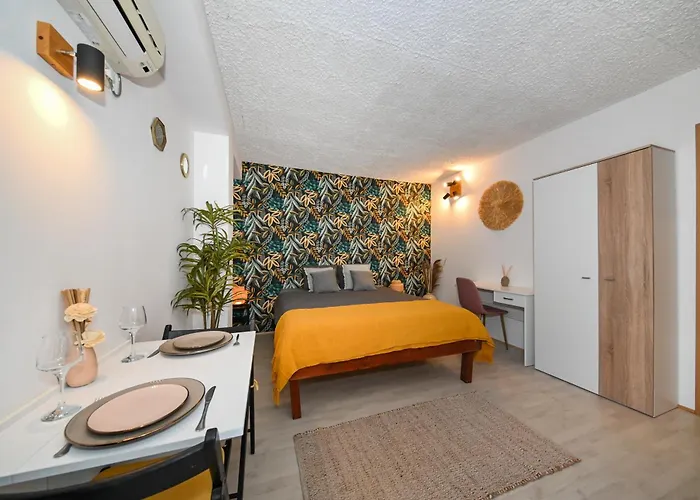 Lazy Monkey & ApartmentsHostel